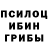 Псилоцибиновые грибы прущие грибы nivlat61