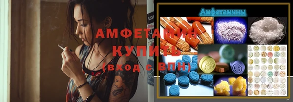 прущая мука Ельня