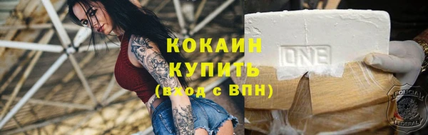 прущая мука Ельня