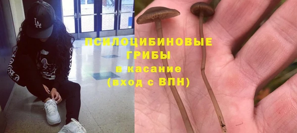 прущая мука Ельня