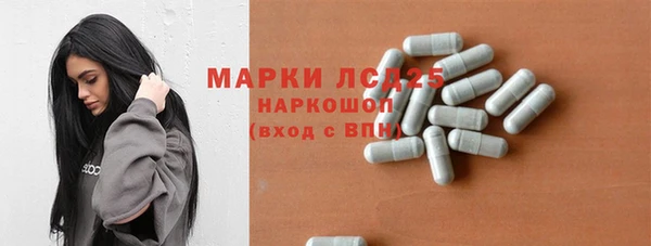 СК Елабуга