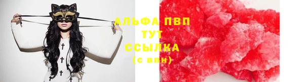 СК Елабуга