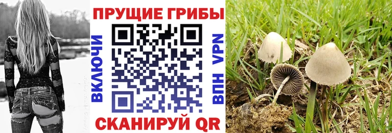 Псилоцибиновые грибы мухоморы  Купить где  Протвино 